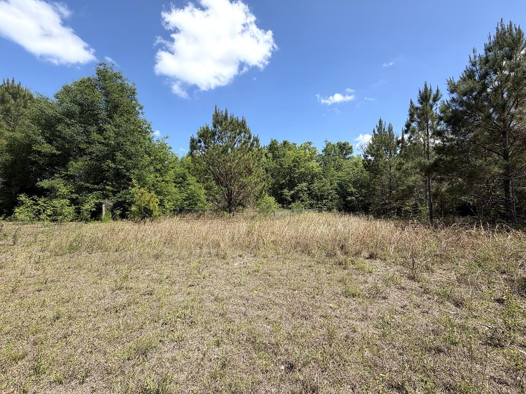 5581 Highway 71 S, Wewahitchka, FL 32465 photo