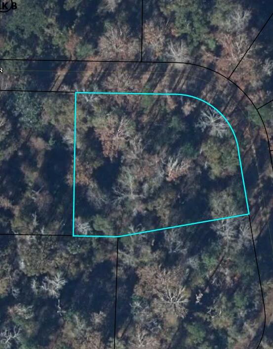 255 Riverside Cir, Wewahitchka, FL 32465