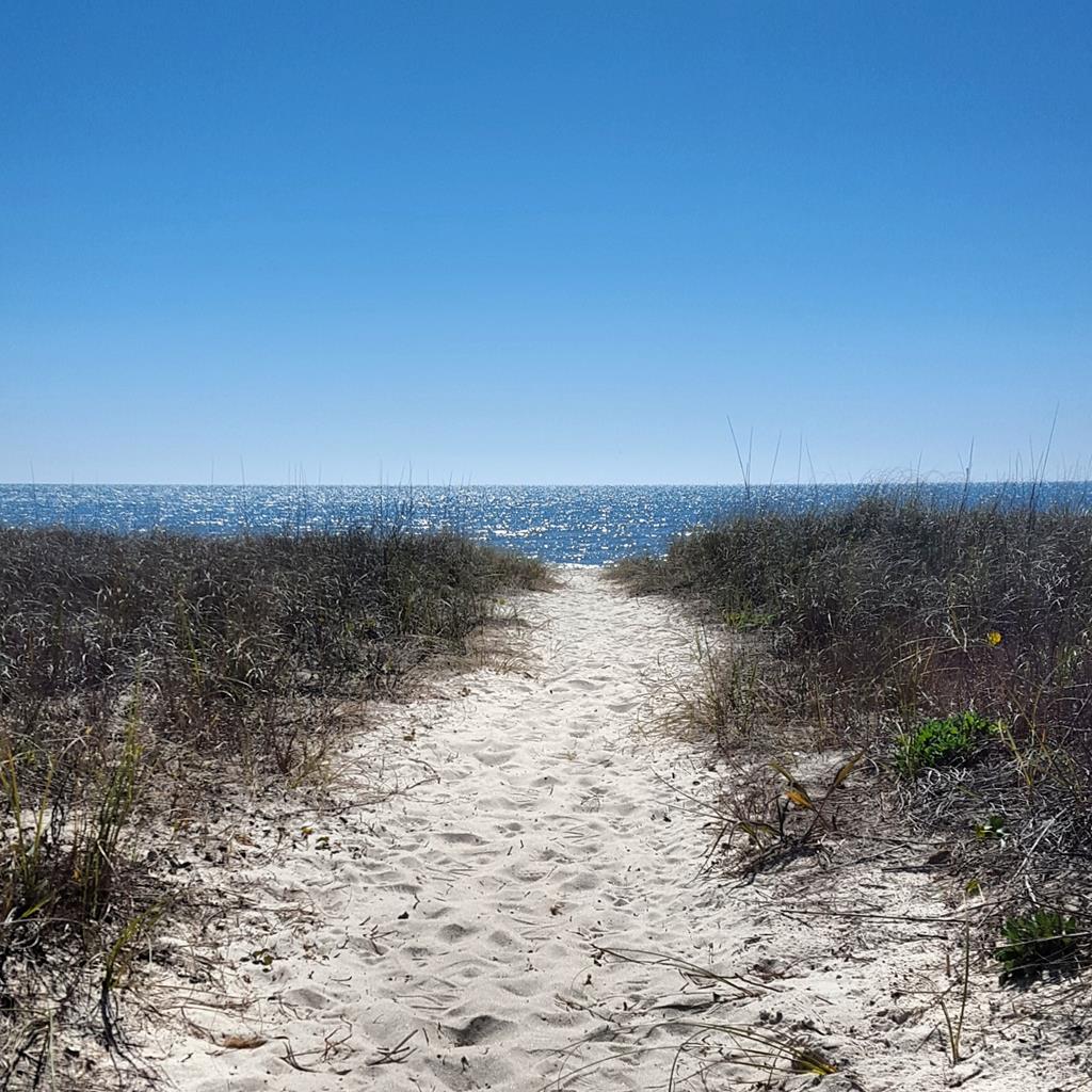 1032 W Gulf Beach Dr, St. George Island, FL 32328 photo