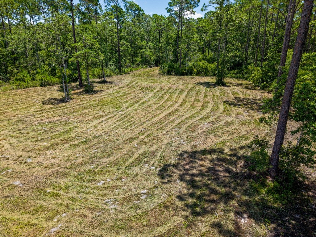 301 Jay Jay Way, Carrabelle, FL 32322 photo