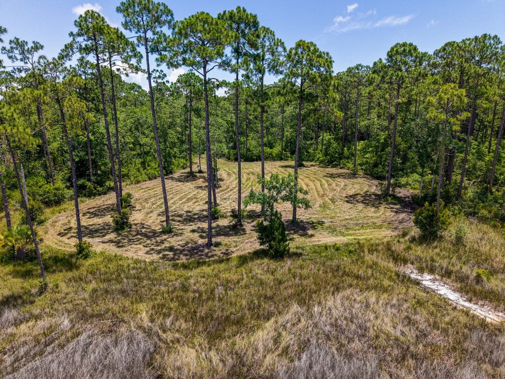 301 Jay Jay Way, Carrabelle, FL 32322 photo