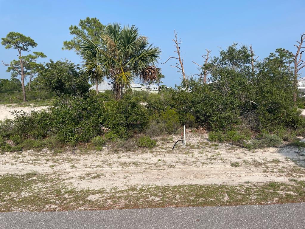 Lot 8A McCosh Mill Rd, Cape San Blas, FL 32456 photo