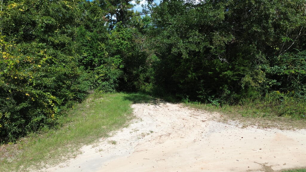 388 Bass Dr, Wewahitchka, FL 32465