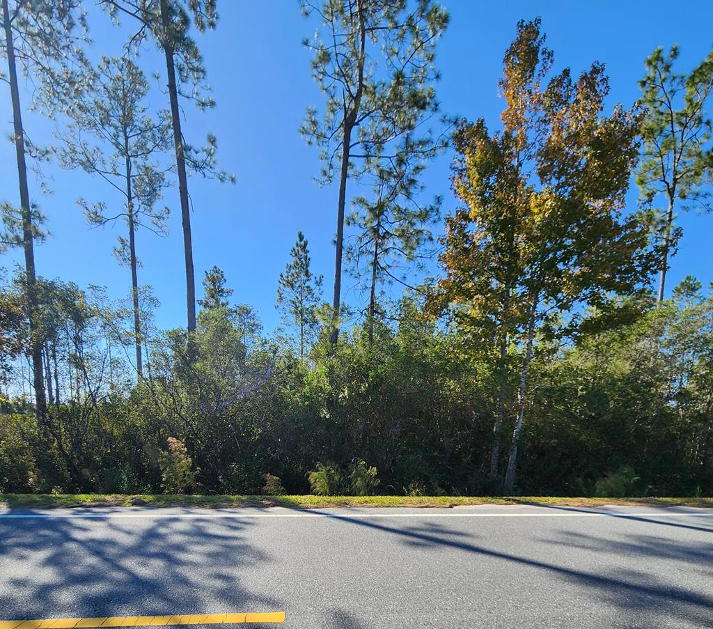 32 Doc Whitfield Rd, Wewahitchka, FL 32465