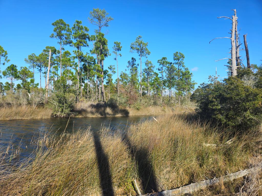 TBD Pleasant Rest Rd, Wewahitchka, FL 32465 photo