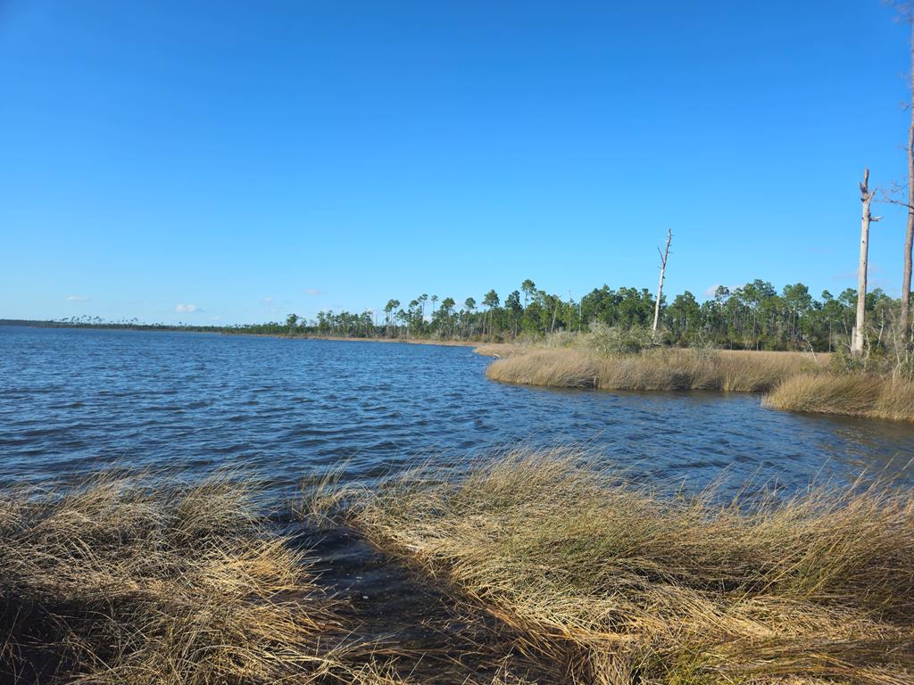 TBD Pleasant Rest Rd, Wewahitchka, FL 32465 photo