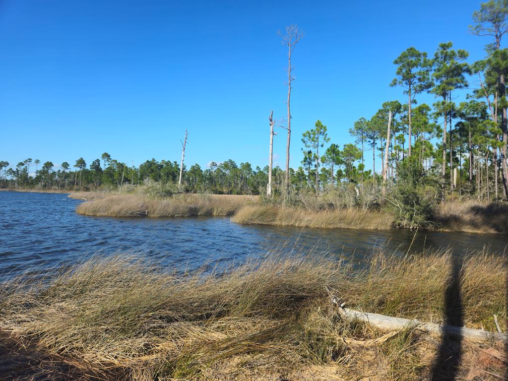TBD Pleasant Rest Rd, Wewahitchka, FL 32465 photo