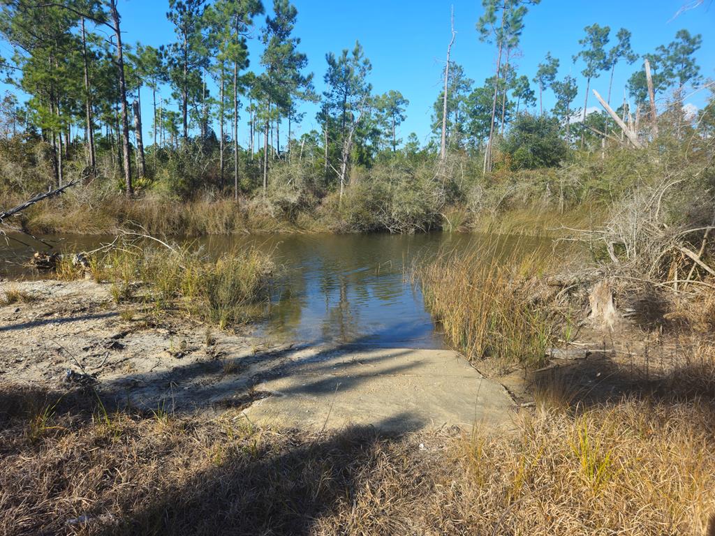 TBD Pleasant Rest Rd, Wewahitchka, FL 32465 photo