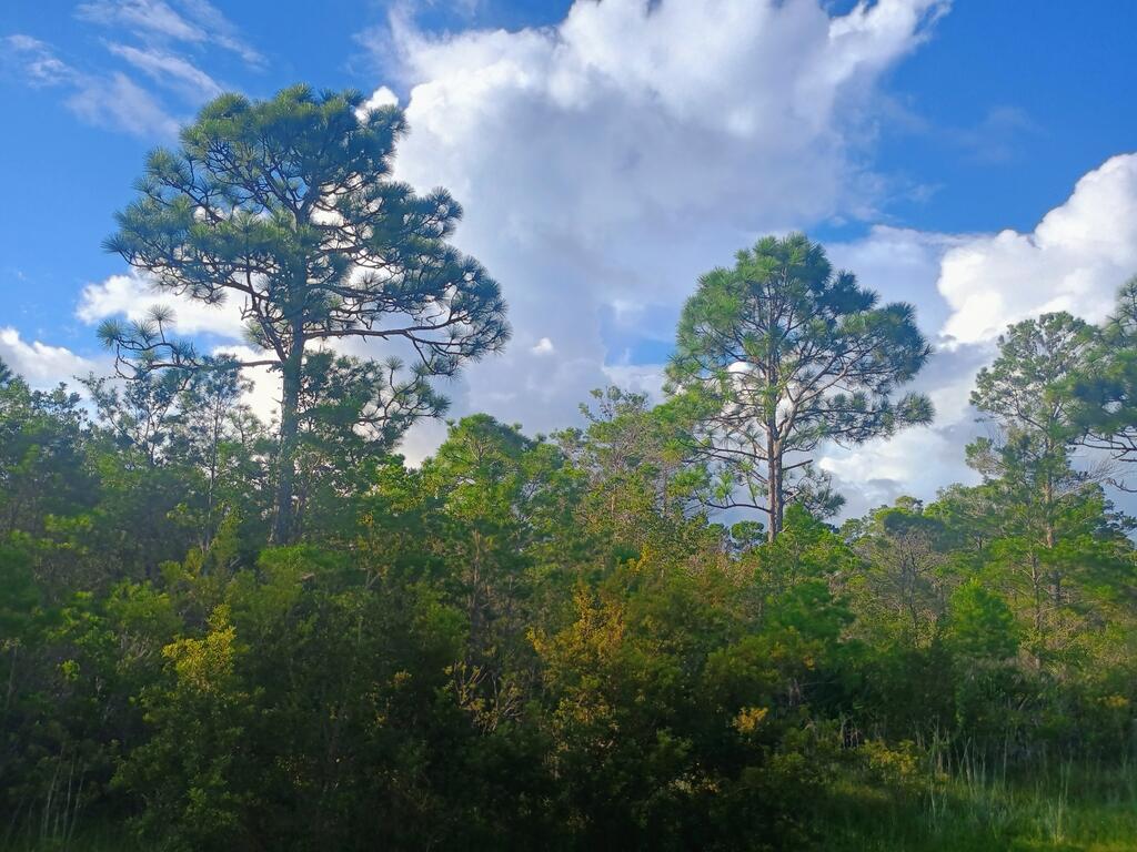 368 Ridgecrest Pkwy, Eastpoint, FL 32328