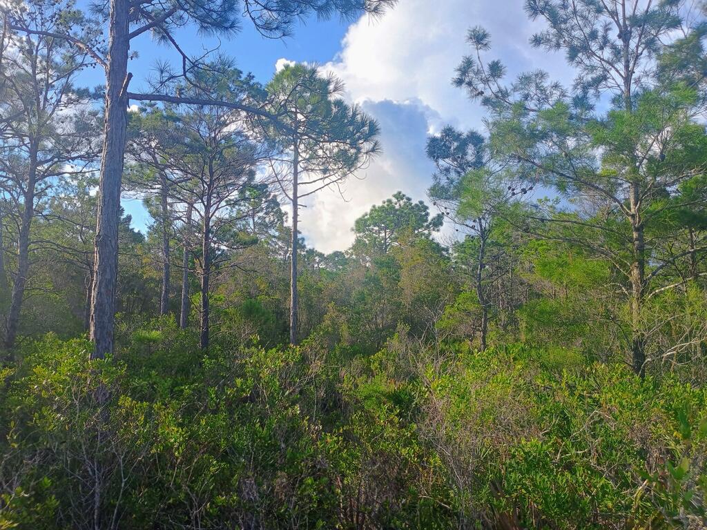 368 Ridgecrest Pkwy, Eastpoint, FL 32328 photo