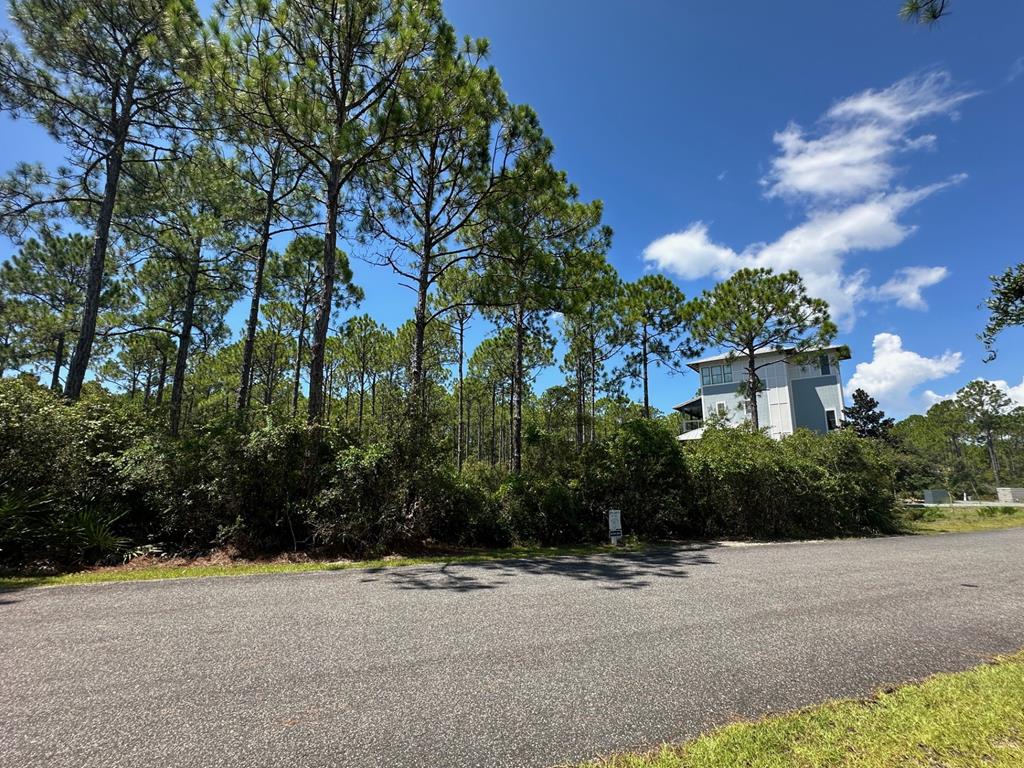 168 Lightning Bug Ln, St. Teresa, FL 32358 photo