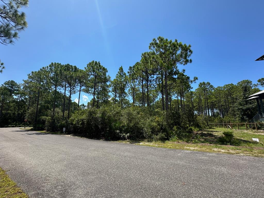 168 Lightning Bug Ln, St. Teresa, FL 32358 photo