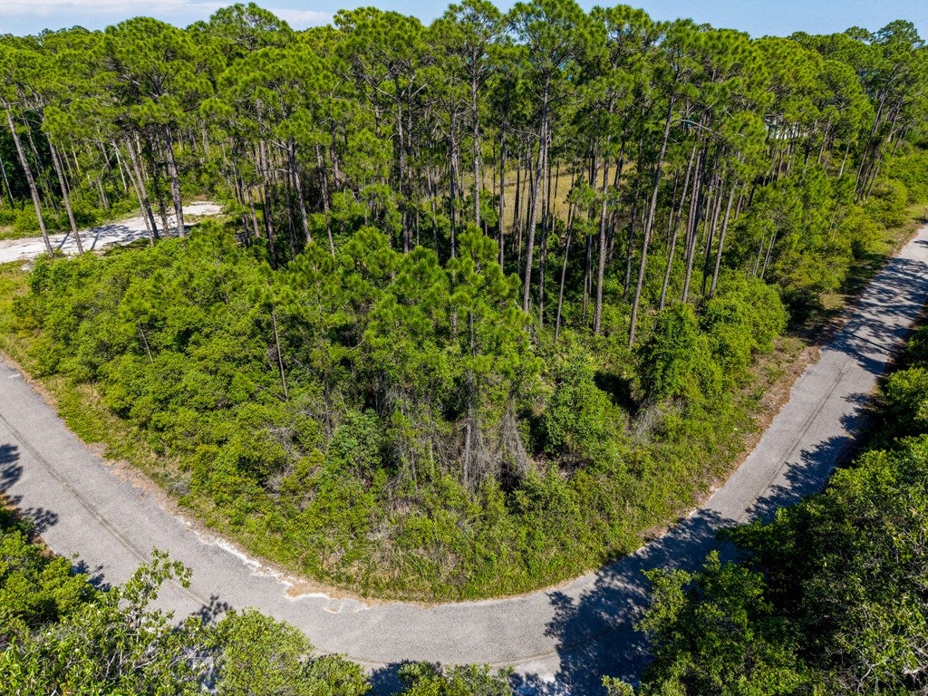 125 Bay Magnolia Ln, Carrabelle, FL 32322 photo