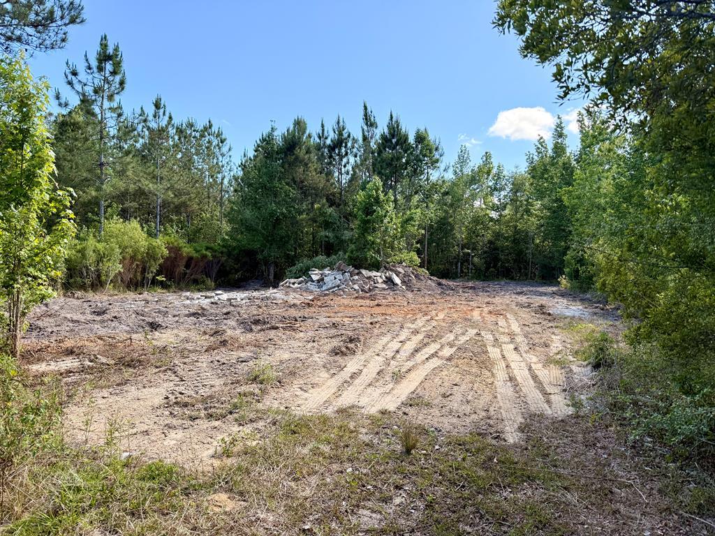 2 Bay City Rd #LOT, Wewahitchka, FL 32465 photo