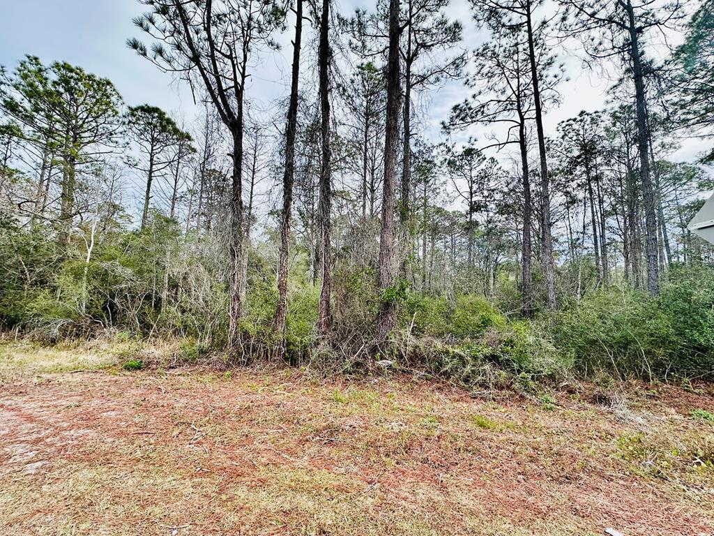 1546 Highway 67, Carrabelle, FL 32322 photo