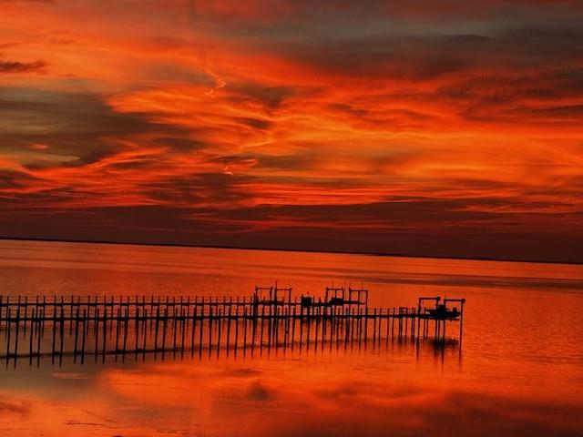 2123 Blue Heron Trl, St. George Island, FL 32328 photo