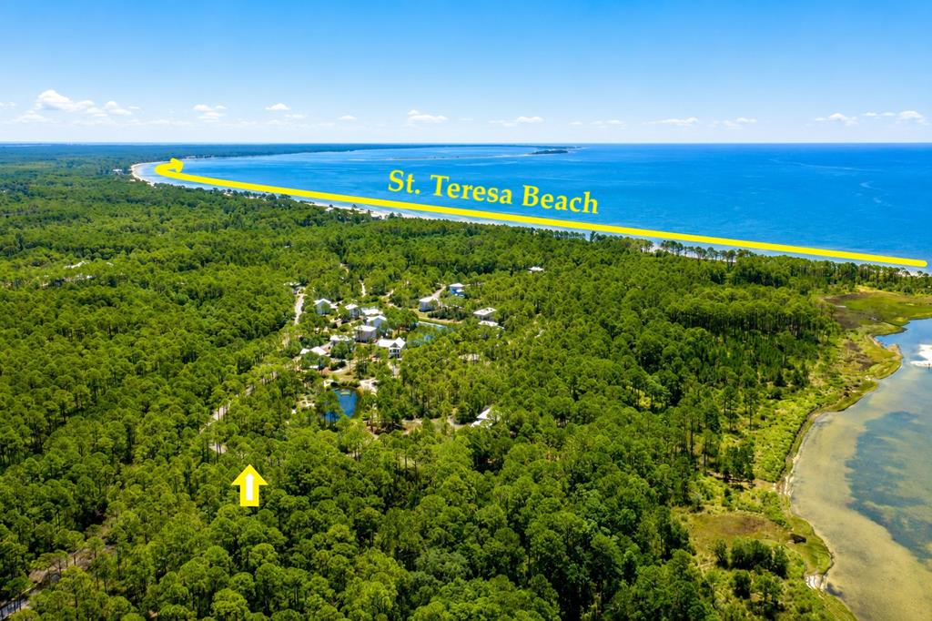 142 Winding Trail Way, St. Teresa, FL 32358