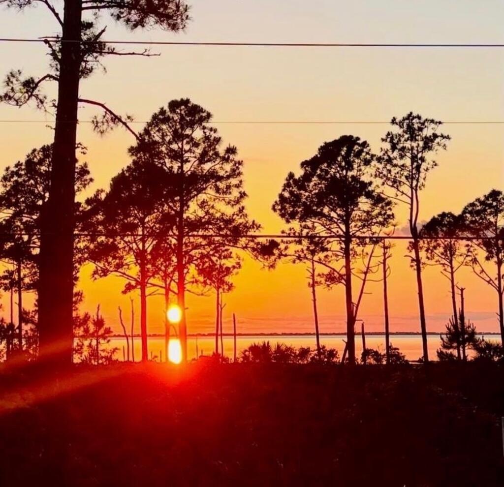 4824 Star Route 30, Port Saint Joe, FL 32456 photo