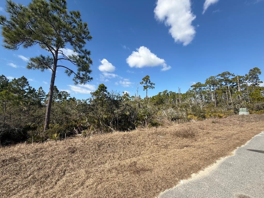9 Sea Mist Dr #LOT, Port Saint Joe, FL 32456 photo