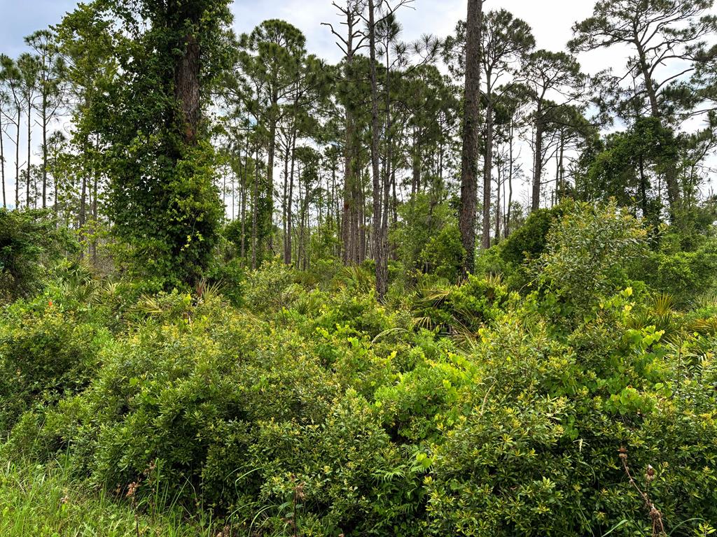 30 A #TBD STAR ROUTE, Port Saint Joe, FL 32456 photo