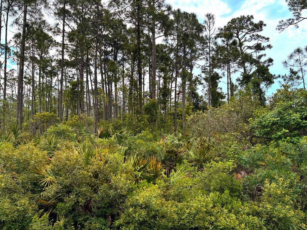 30 A #TBD STAR ROUTE, Port Saint Joe, FL 32456 photo