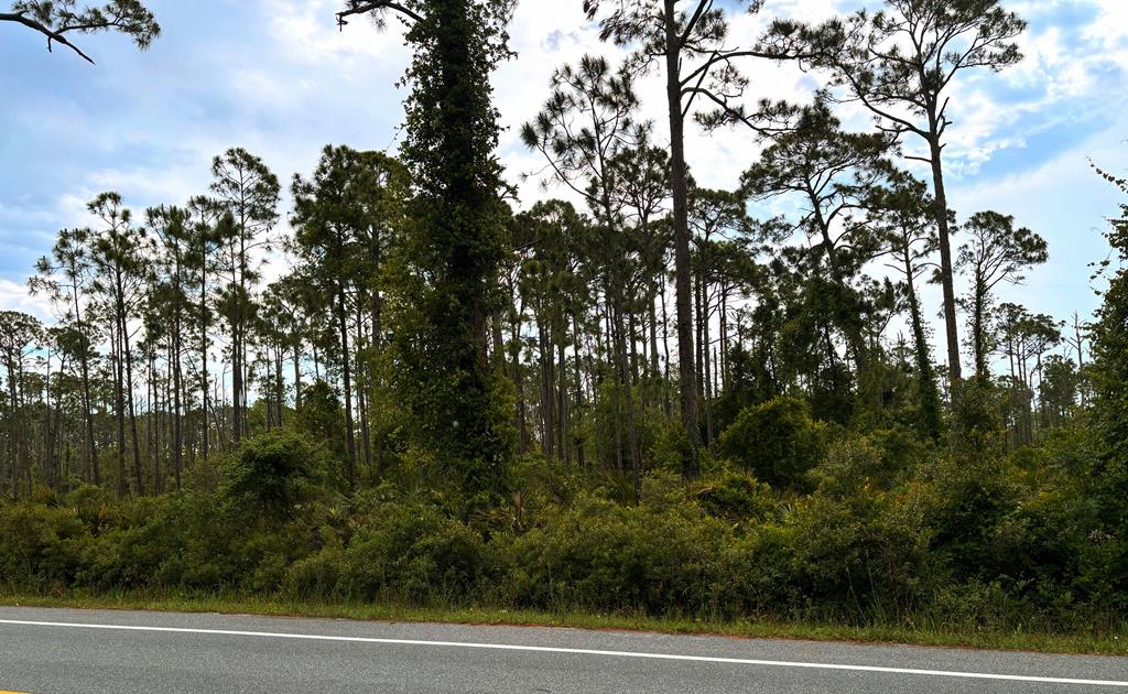 30 A #TBD STAR ROUTE, Port Saint Joe, FL 32456 photo