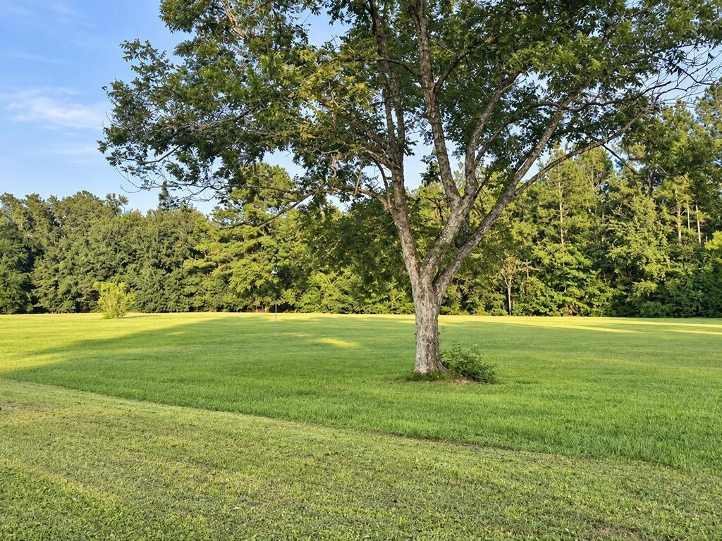 TBD Hwy 71 N St, Wewahitchka, FL 32465