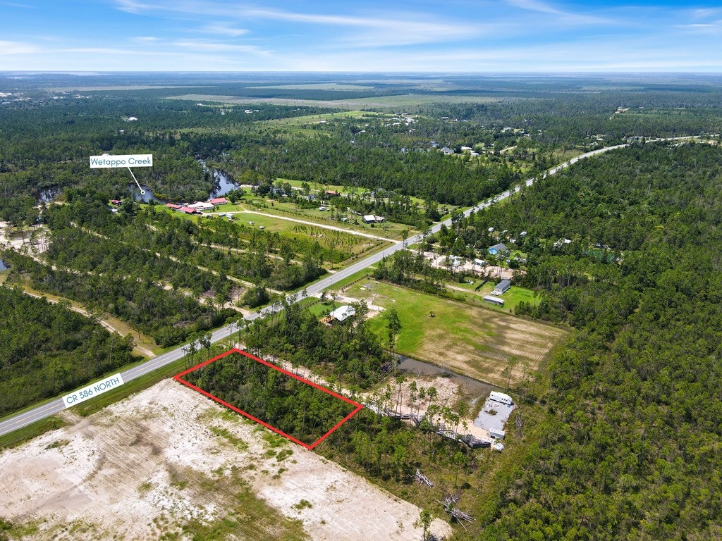 9020 County Road 386 N, Wewahitchka, FL 32456 photo