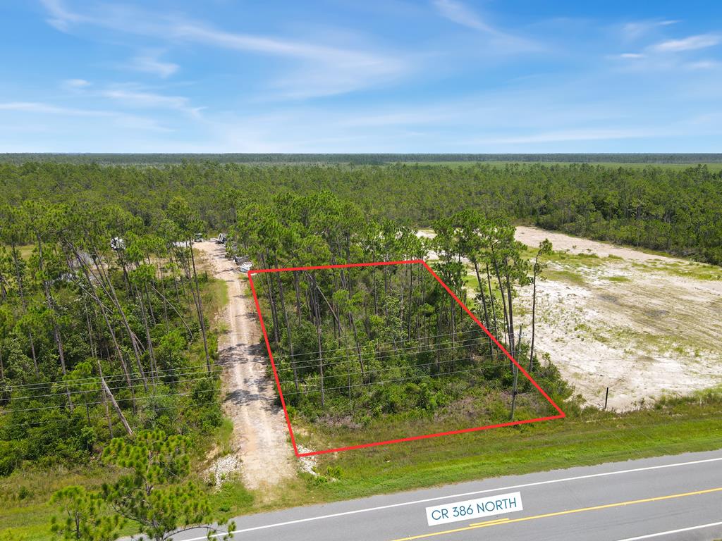 9020 County Road 386 N, Wewahitchka, FL 32456