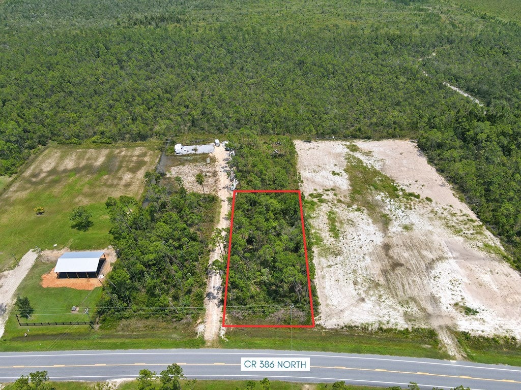 9020 County Road 386 N, Wewahitchka, FL 32456 photo