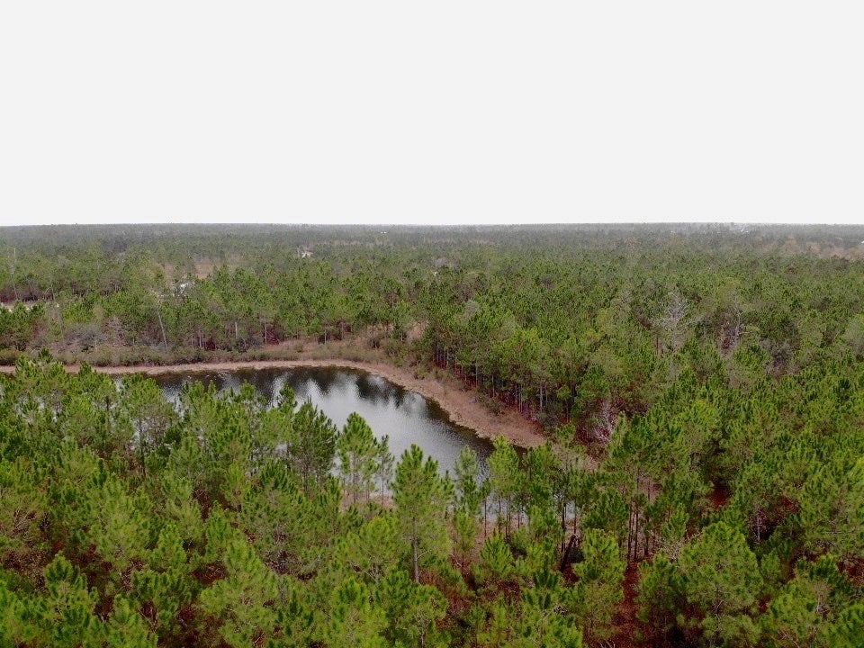 114 Wide Water Cir, Wewahitchka, FL 32465 photo