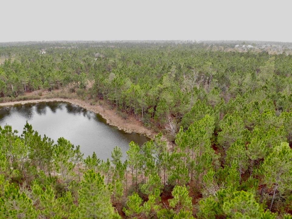 114 Wide Water Cir, Wewahitchka, FL 32465