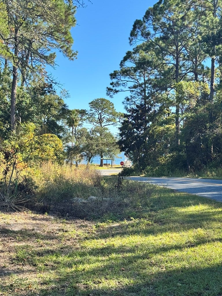 119 Georgia St, Carrabelle, FL 32322 photo