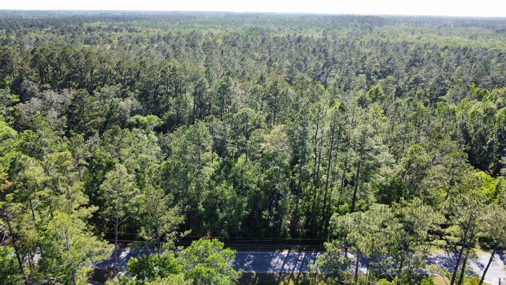 1 Bay City Rd #LOT, Wewahitchka, FL 32465 photo
