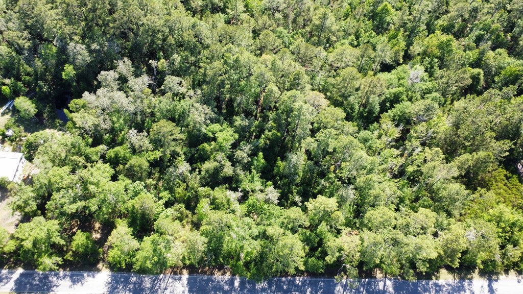 1 Bay City Rd #LOT, Wewahitchka, FL 32465 photo