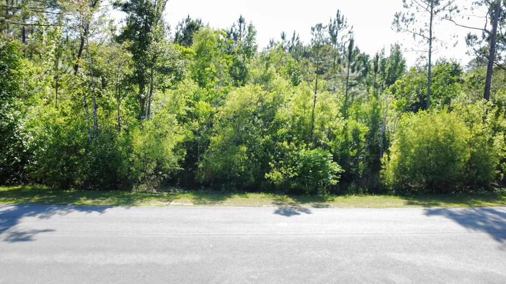 1 Bay City Rd, Wewahitchka, FL 32465