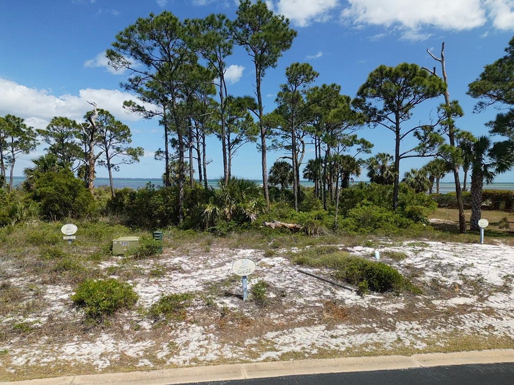 28 Pinnacle Dr, Port Saint Joe, FL 32456 photo