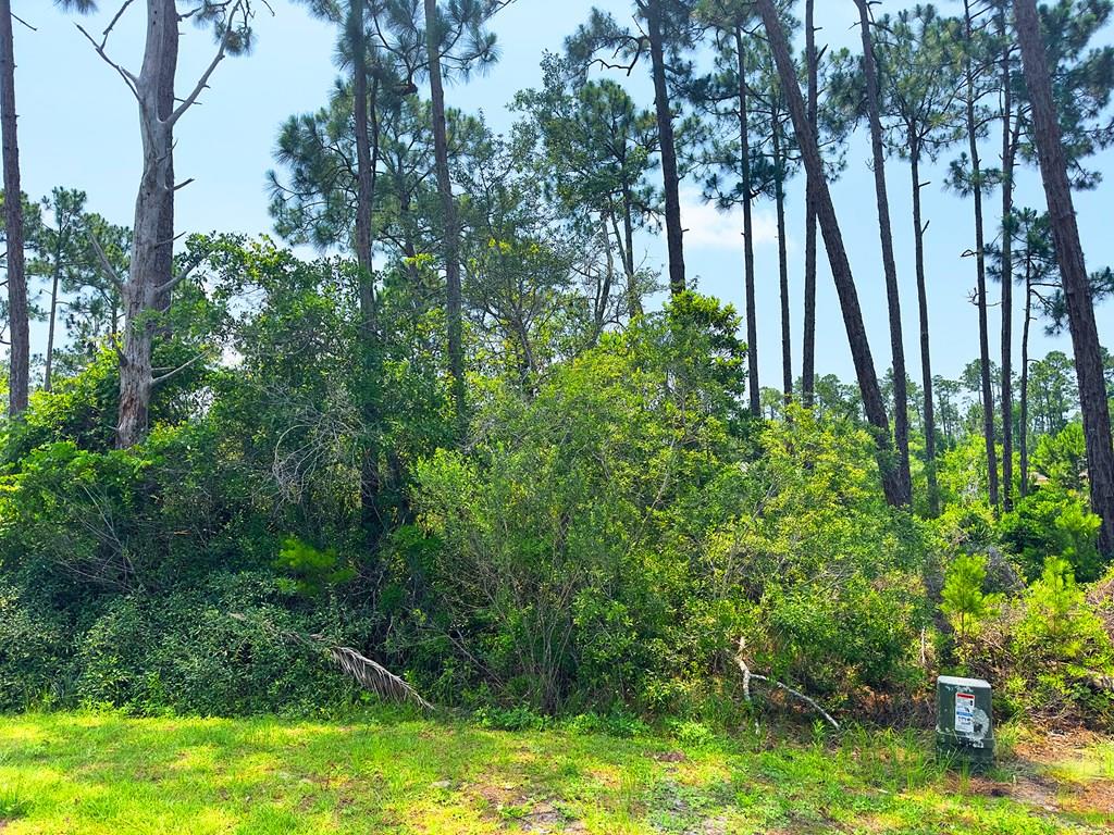 308 Sea Haven Dr, Port Saint Joe, FL 32456
