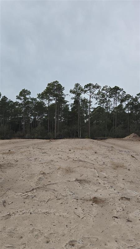 153 Greene Cir, Port Saint Joe, FL 32456 photo