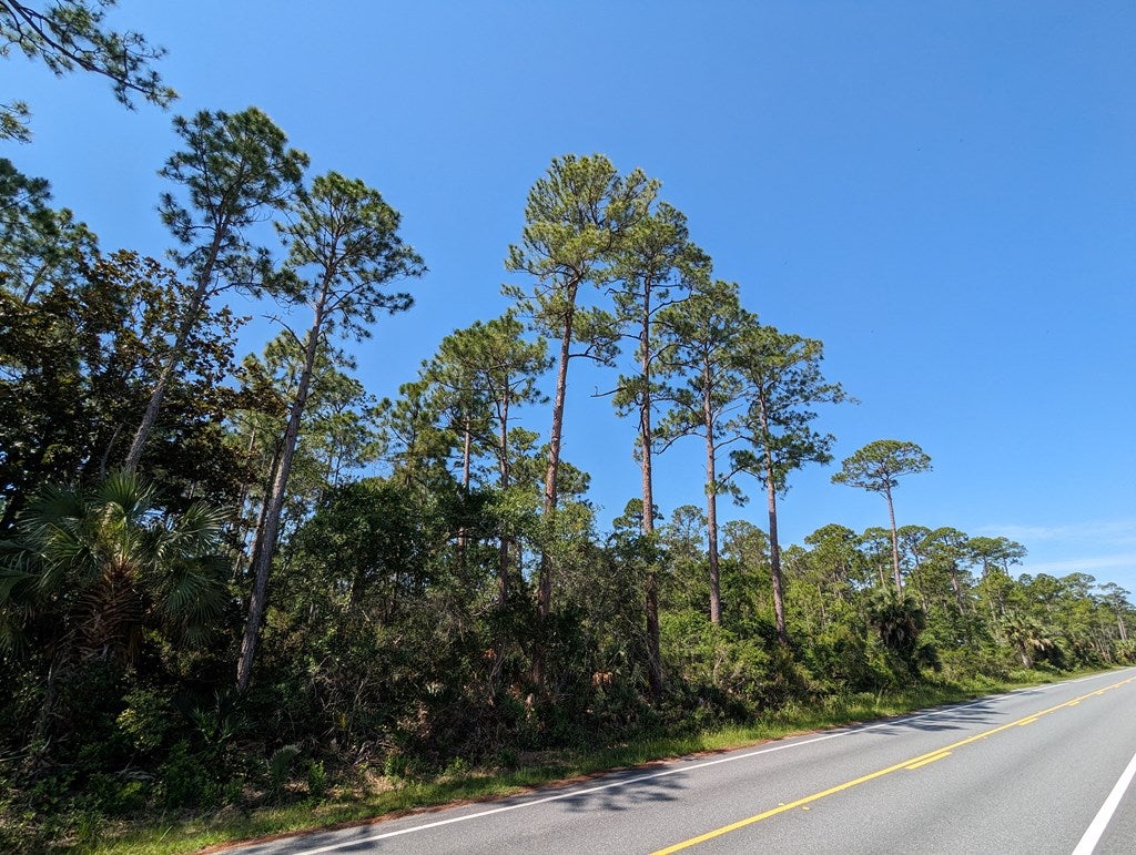 10806 County Road 30, Port Saint Joe, FL 32456 photo