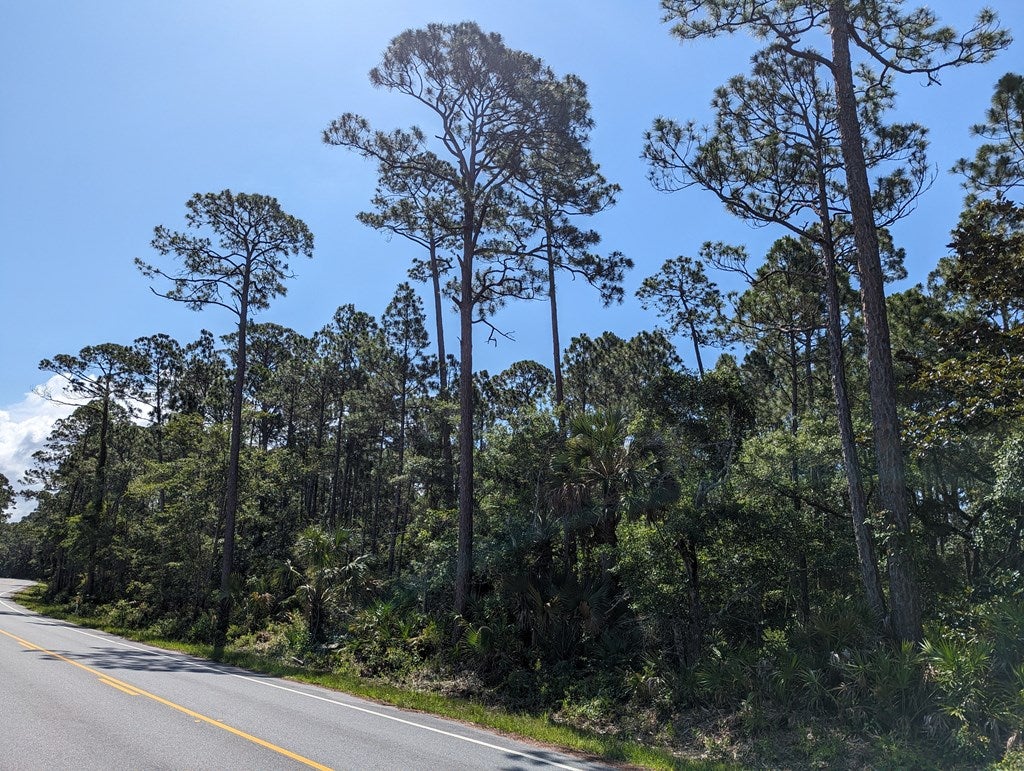 10806 County Road 30, Port Saint Joe, FL 32456 photo