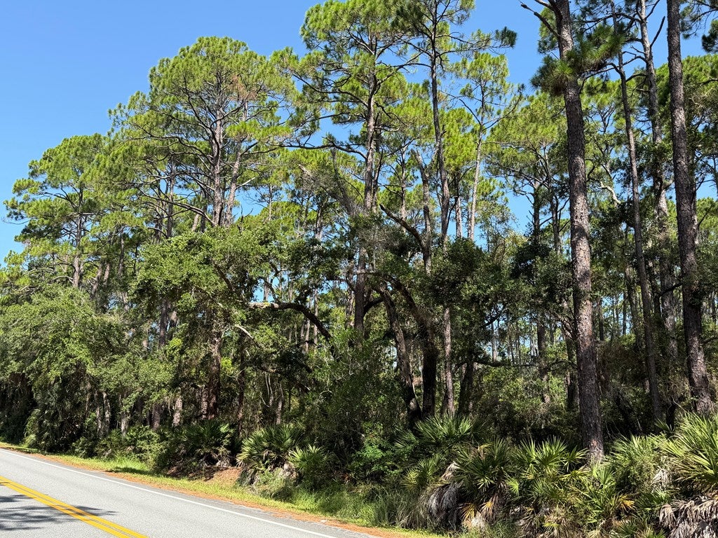 4 County Road 30 #TBD, Cape San Blas, FL 32456 photo