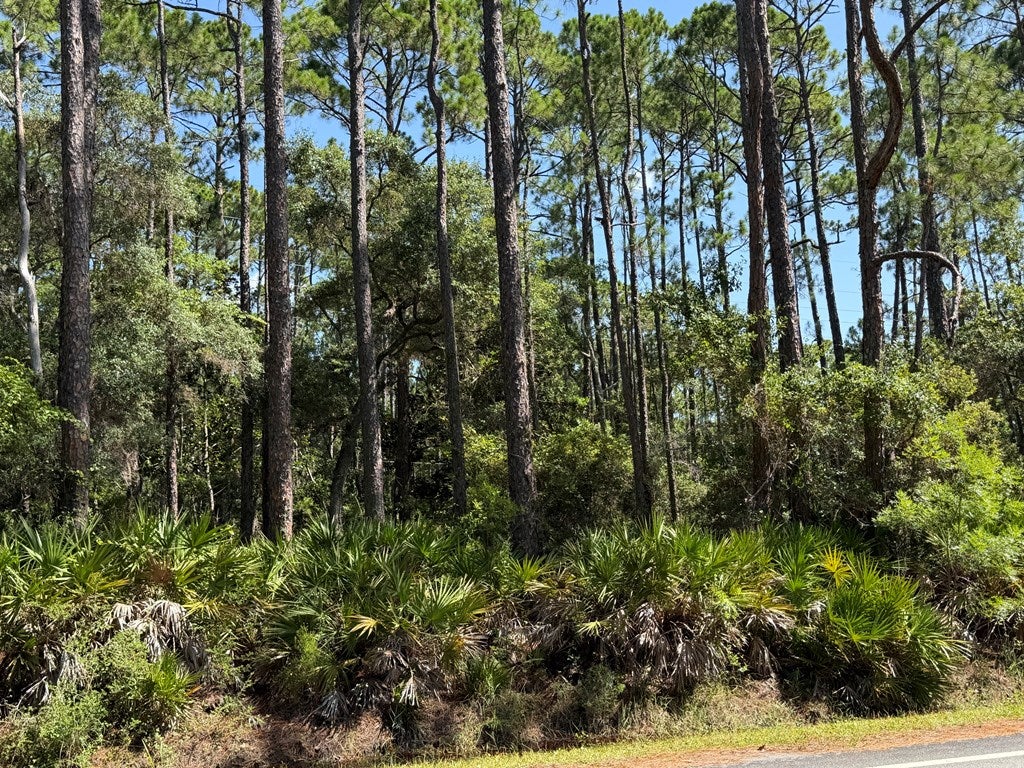 4 County Road 30 #TBD, Cape San Blas, FL 32456 photo