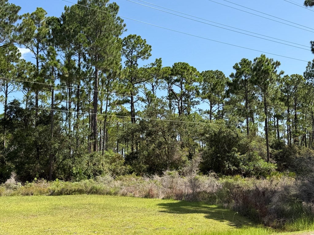 4 County Road 30 #TBD, Cape San Blas, FL 32456 photo