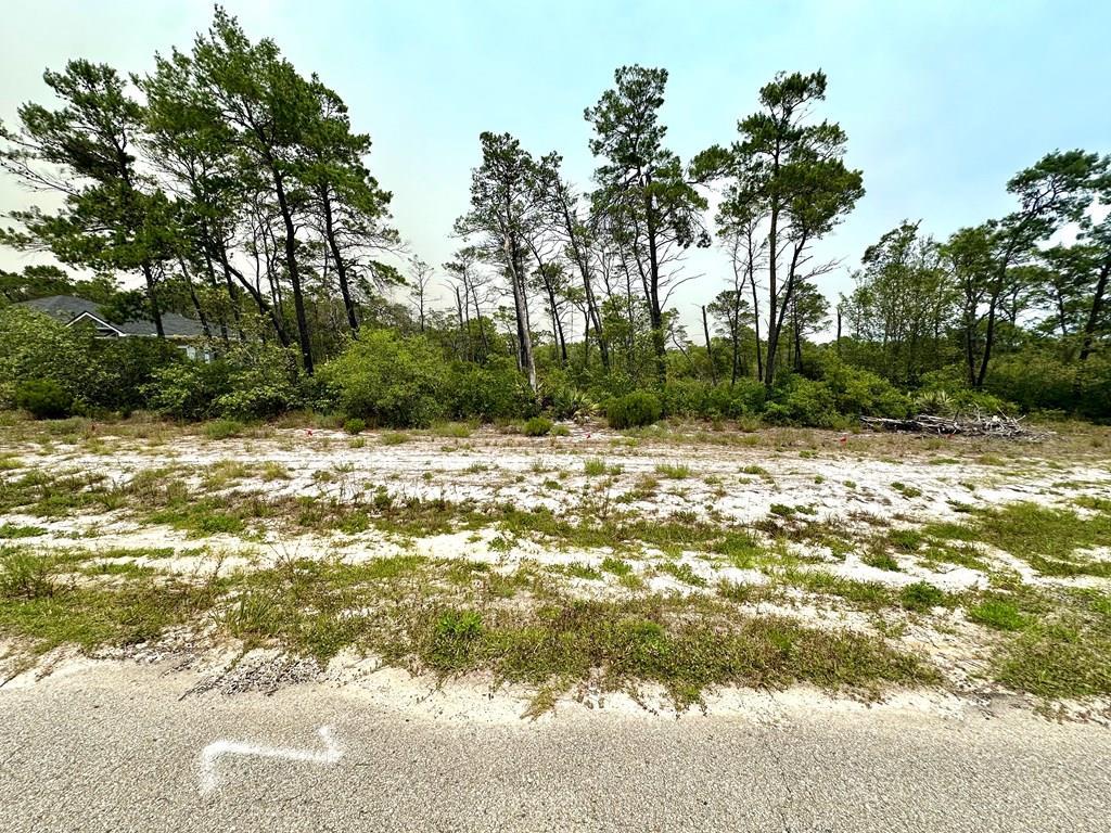 344 Magnolia Ct, Eastpoint, FL 32328 photo