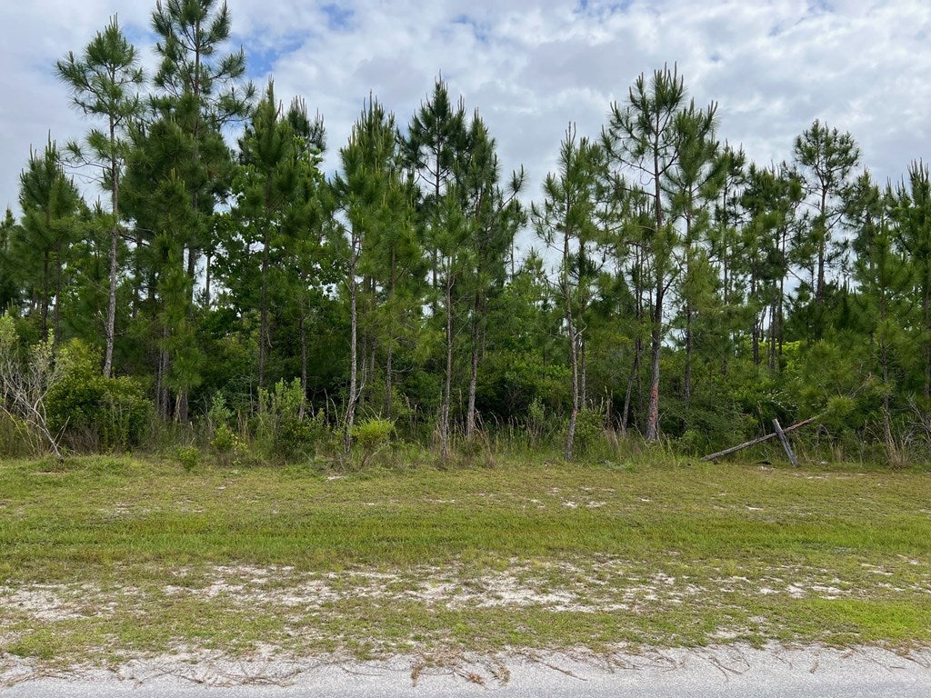 103 Torrey Pine Trl, Wewahitchka, FL 32465 photo