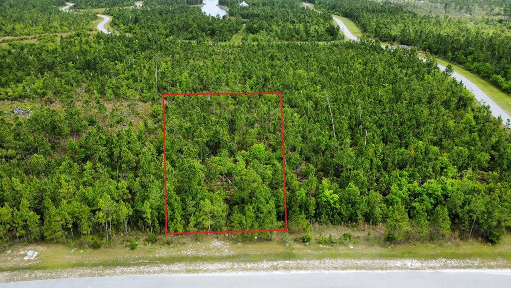 103 Torrey Pine Trl, Wewahitchka, FL 32465 photo