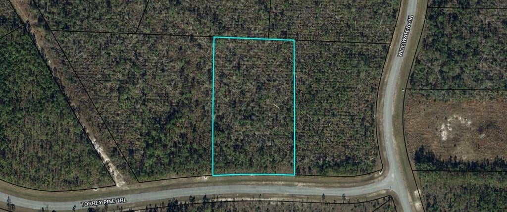 103 Torrey Pine Trl, Wewahitchka, FL 32465 photo