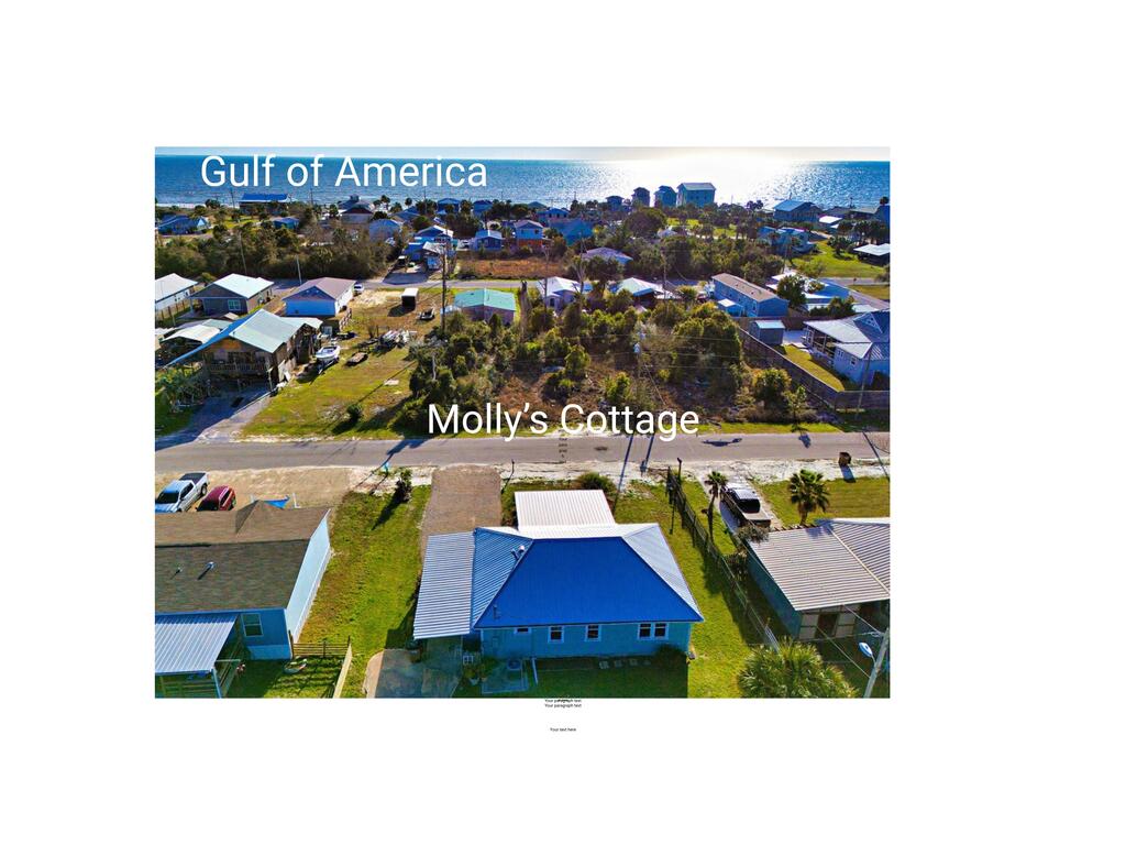 9230 Olive Ave, Port Saint Joe, FL 32456 photo