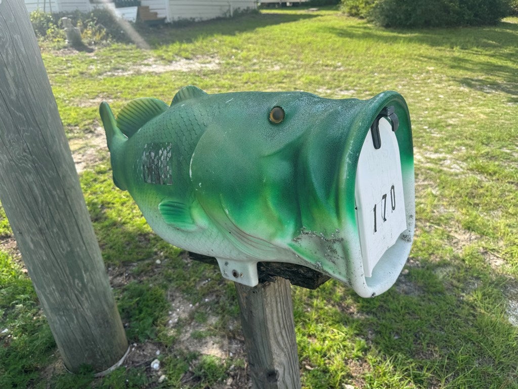 170 Alabama St, Lanark Village, FL 32323 photo
